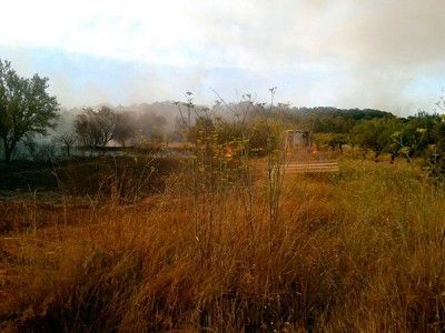 La zona quemada superaría las 30 hectáreas, según estimaciones. GIT